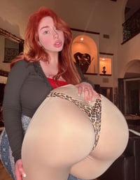 Image 2 of The Epic Bishoujo Mom Booty Pillow