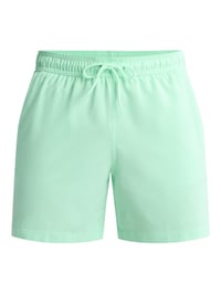 Image 2 of Men's versatile chill and swim shorts, Icy green!