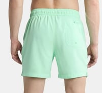 Image 4 of Men's versatile chill and swim shorts, Icy green!