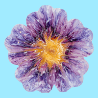 Image 1 of Hibiscus Flower Tray