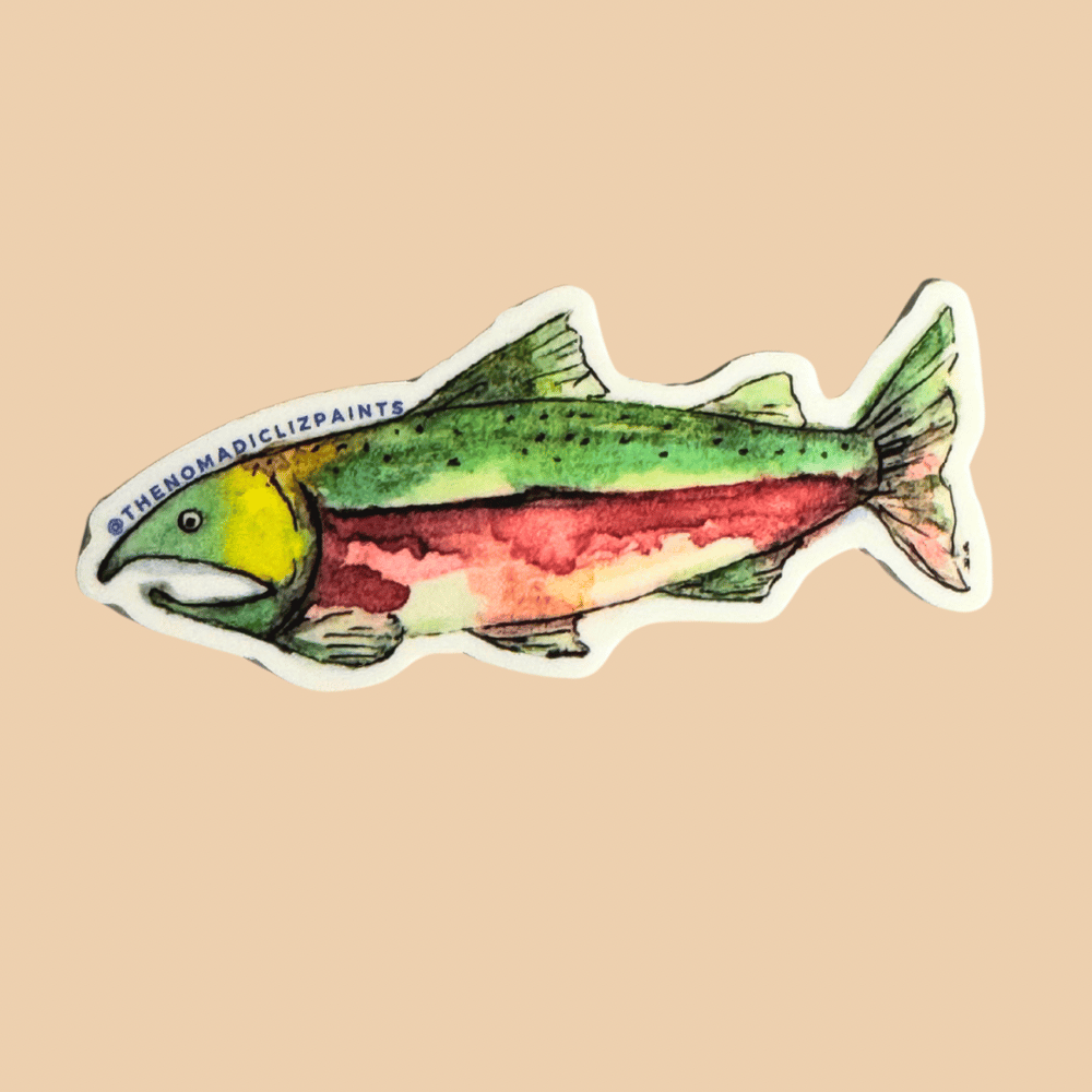Image of Fish Sticker