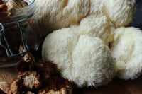 Image 1 of Lions Mane up to 1.2kg