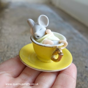 Wee Sleepy Mouse in Teacup