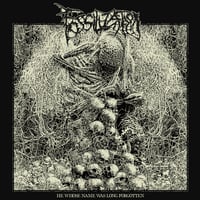 FOSSILIZATION - He Whose Name was Long Forgotten CD