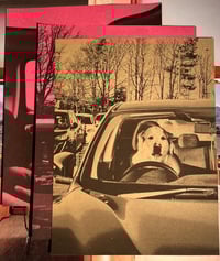 Dogs in Cars Charity Inkjet prints