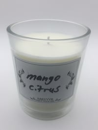Image 3 of Mango Citrus
