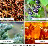 Image 5 of Stallion Bar Soap