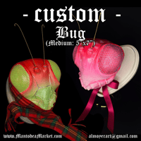 Image 1 of CUSTOM Bug Wall Mount (Medium: 5”x7”)