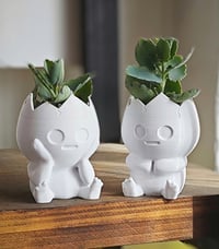 Image 1 of Miniature Egg Planter Buddies - Adorable Succulent Egg Planters, Tiny Plant Holders