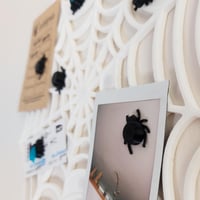 Image 5 of Magnetic Spider Web Picture Board with spider and fly magnets for your notes