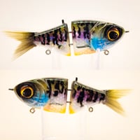 STG - (HoloGill) V1