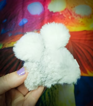 Pocket Glorb! C)