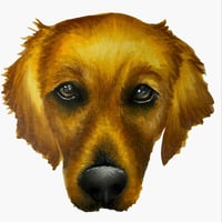 Image 4 of Dog Sticker Pack 
