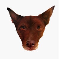 Image 5 of Dog Sticker Pack 