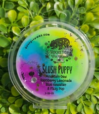 Image 5 of Slush Puppy - A Rockytop Wax Works exclusive custom houseblend fragrance 