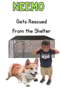 Neemo Gets Rescued from the Shelter