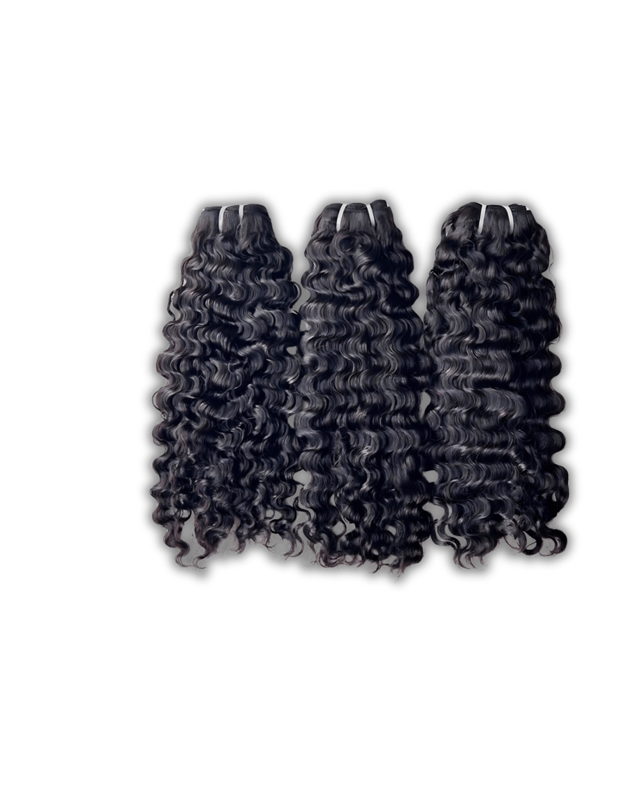 Image of REMY Burmese Curly