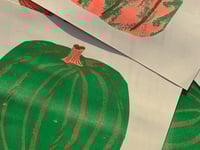 Image 5 of Green Pumpkin