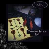 Image 1 of 🜧 Castanea Ignis 🜧