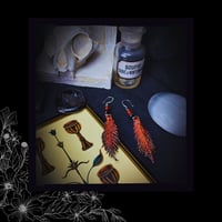 Image 5 of 🜧 Castanea Ignis 🜧