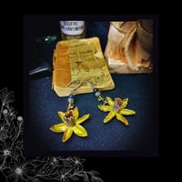 Image 5 of ☽ Narcissus Solaria ☾