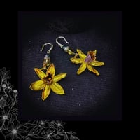 Image 3 of ☽ Narcissus Solaria ☾