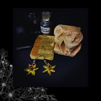 Image 2 of ☽ Narcissus Solaria ☾