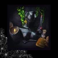 Image 4 of ☽ Narcissus Solaria ☾