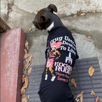 Image 3 of DRUG USERS DESERVE TO LIVE