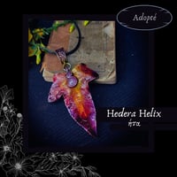 Image 10 of ☽ Hedera Helix ☾