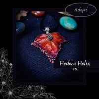 Image 13 of ☽ Hedera Helix ☾