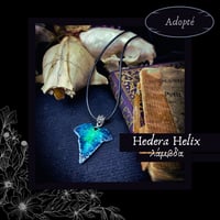 Image 11 of ☽ Hedera Helix ☾