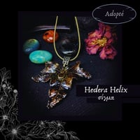 Image 18 of ☽ Hedera Helix ☾
