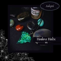 Image 16 of ☽ Hedera Helix ☾