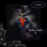 Image 14 of ☽ Hedera Helix ☾