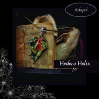 Image 17 of ☽ Hedera Helix ☾