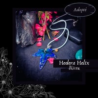 Image 7 of ☽ Hedera Helix ☾
