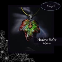 Image 8 of ☽ Hedera Helix ☾
