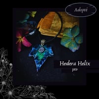 Image 12 of ☽ Hedera Helix ☾
