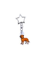 Key ring 