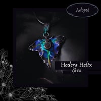 Image 9 of ☽ Hedera Helix ☾