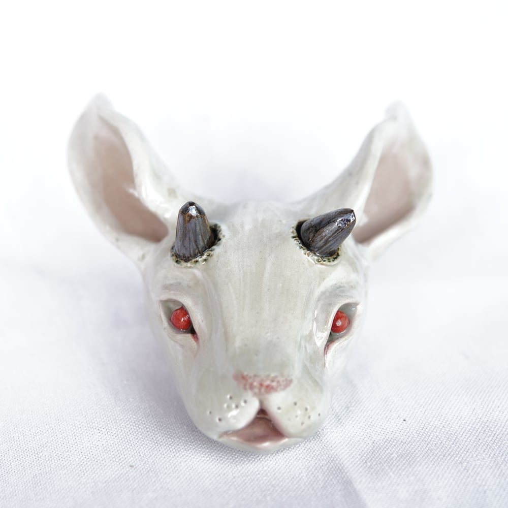 Image of White Rabbit Head