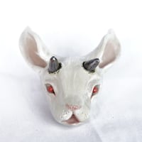 Image 1 of White Rabbit Head