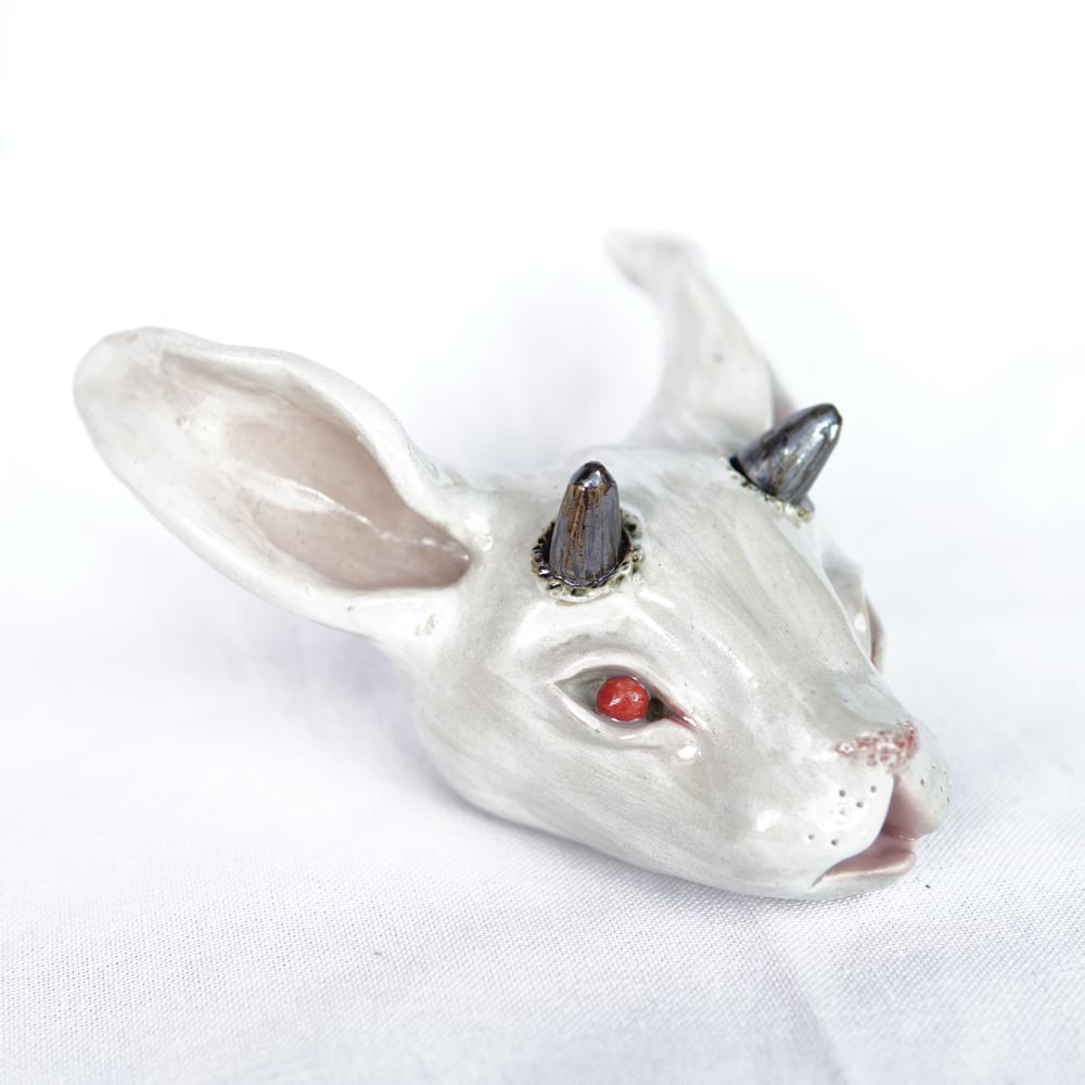 Image of White Rabbit Head