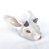 Image 2 of White Rabbit Head