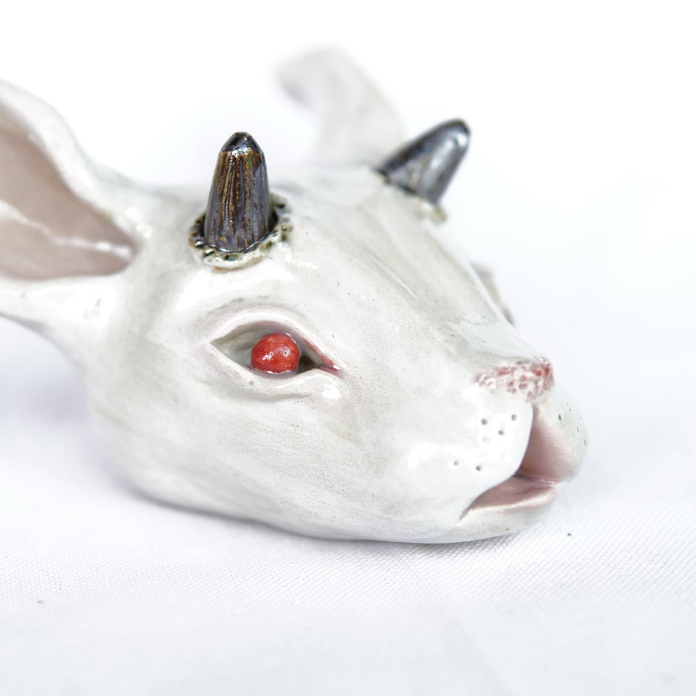 Image of White Rabbit Head