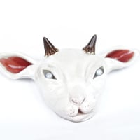 Image 2 of Baby Goat