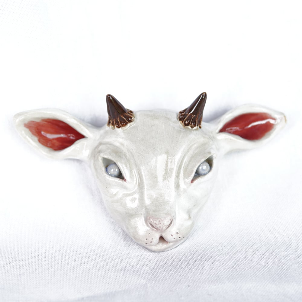Image of Baby Goat