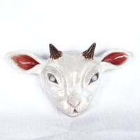 Image 1 of Baby Goat