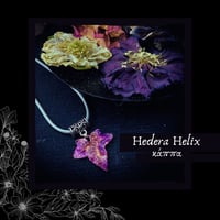 Image 1 of ☽ Hedera Helix ☾